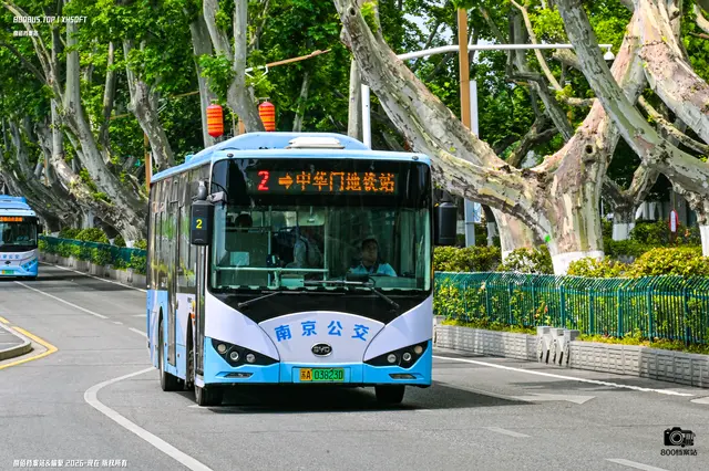 800BUS