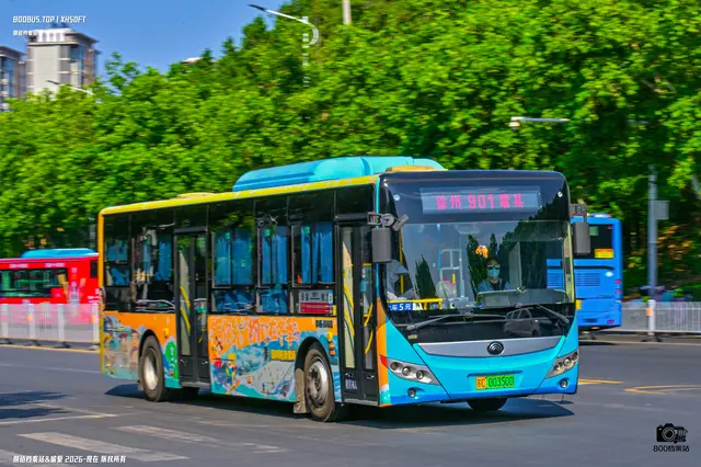 800BUS