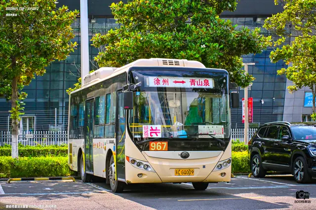 800BUS