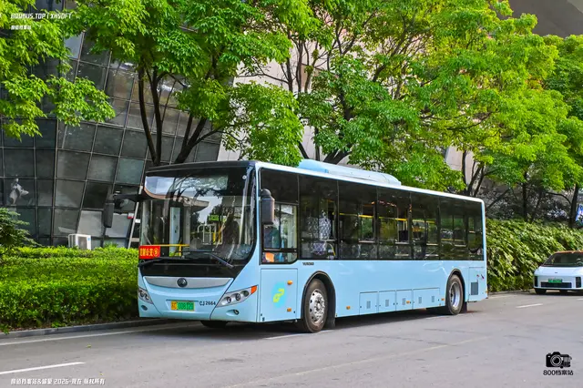 800BUS