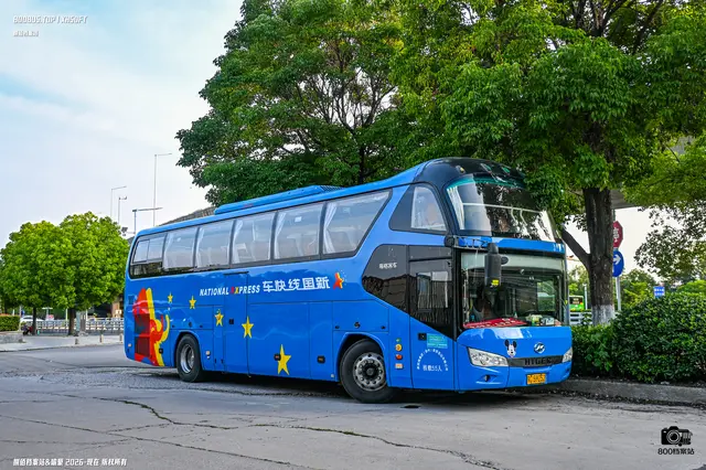 800BUS